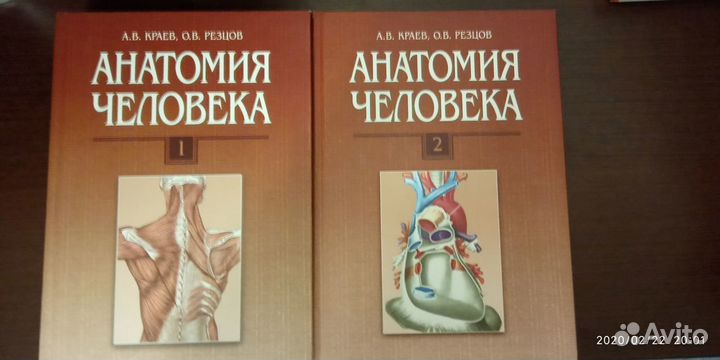 Книги по анатомии