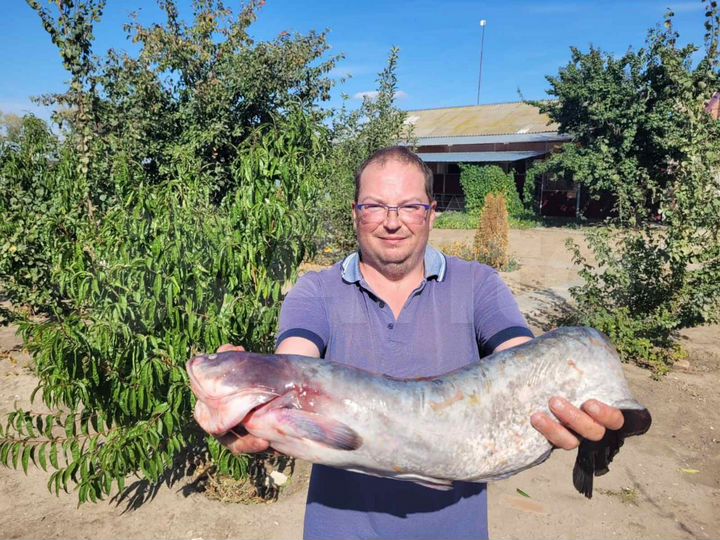 Дом 120 м² на участке 16 сот.