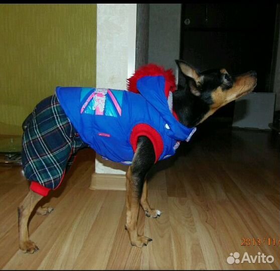 Комбинезон 