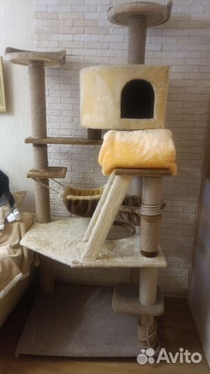Когтеточка домик для кошки бу