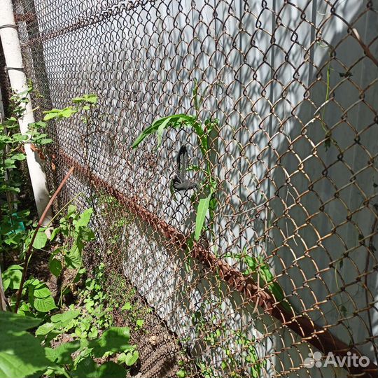 Рабица сетка