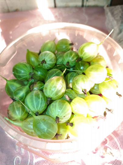 Дача 15 м² на участке 10 сот.