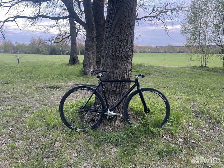 Colossi cheeko track 53