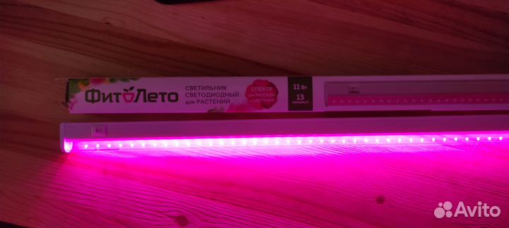 Фитолампа для растений