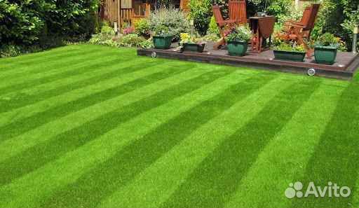 Рулонный газон напрямую от производителя