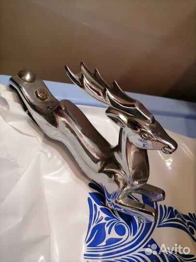 Олень на волгу 21