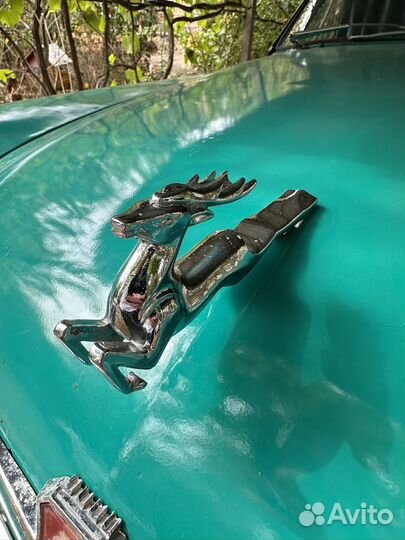 Олень на волгу 21