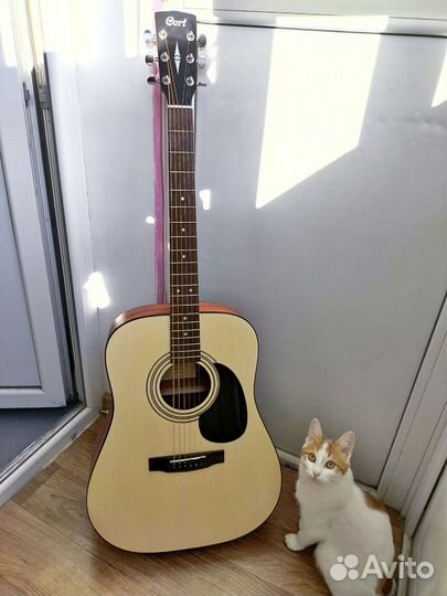Акустическая гитара Cort ad810