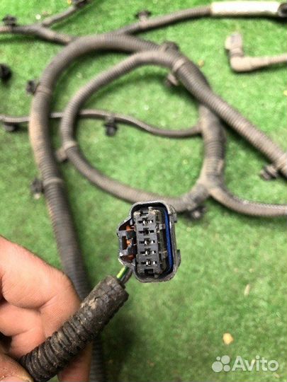 Проводка (коса) Peugeot Traveller DW10cted4 2020