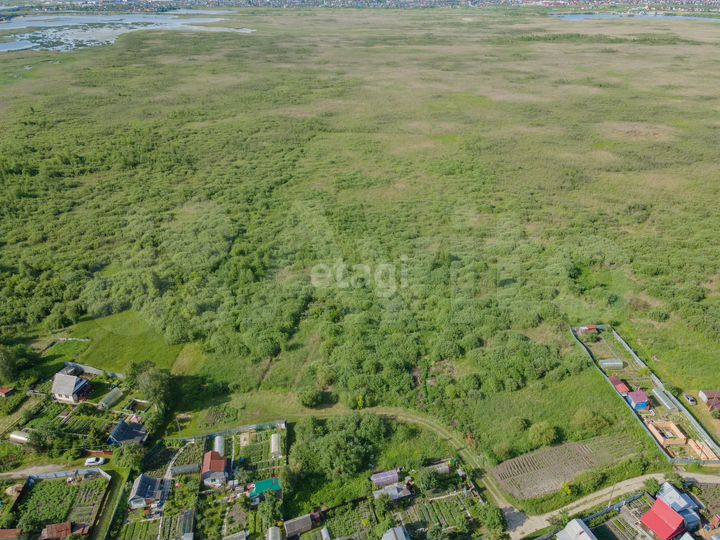 Участок 20 сот. (СНТ, ДНП)