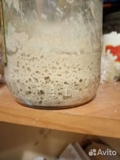 Ржаная закваска