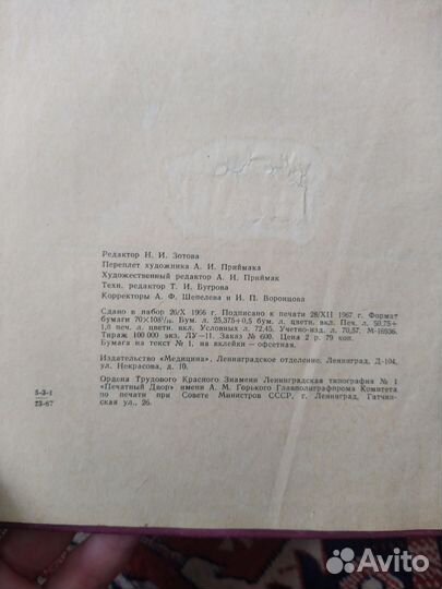 Анатомия человека