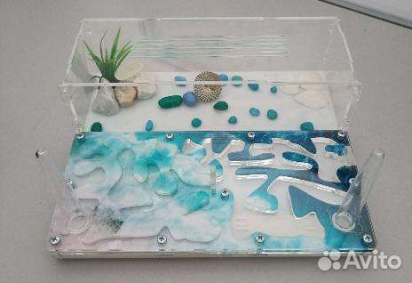 Муравьиная ферма доставка