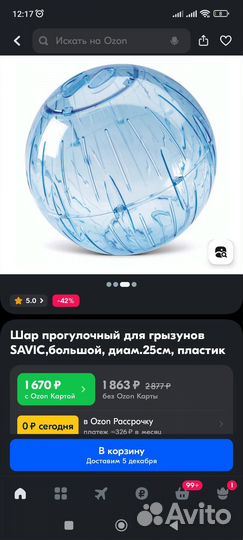 Шар для хомяков, крыс, грызунов 25 см