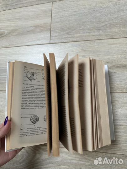 Атлас анатомии человека