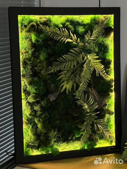Картина из мха(ягель) / подарки/панно