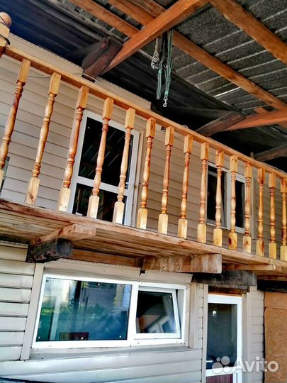 Передержка для собак