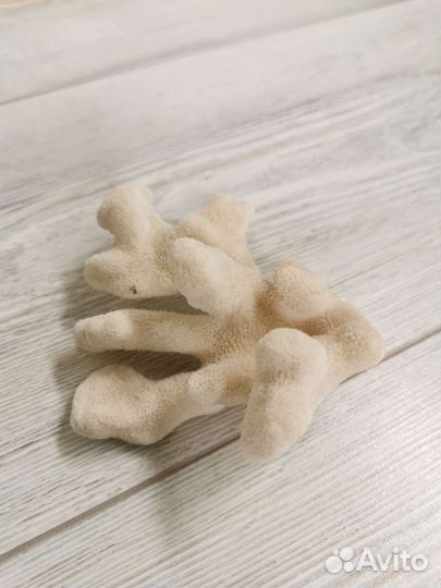 Сувениры из Египта