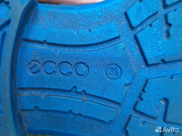Ботинки ecco 36