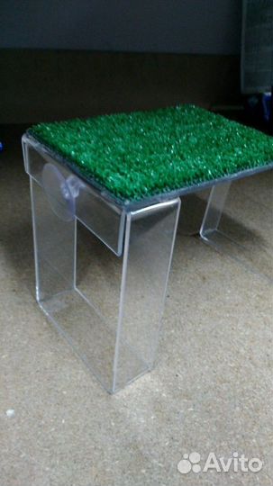 Мостик суша остров для черепахи