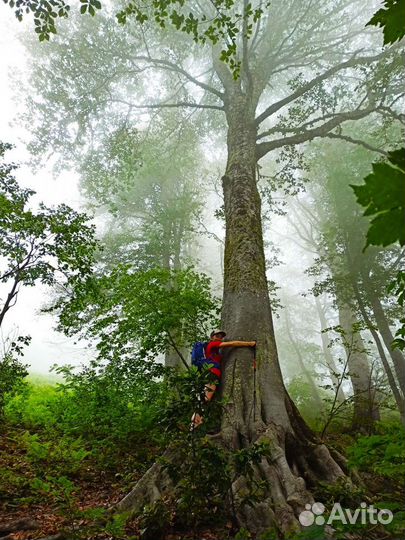 Поход треккинг к Водопаду Кейва,Красная Поляна