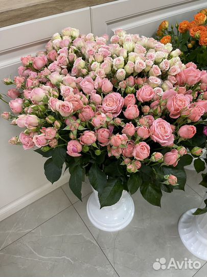 Кустовые розы