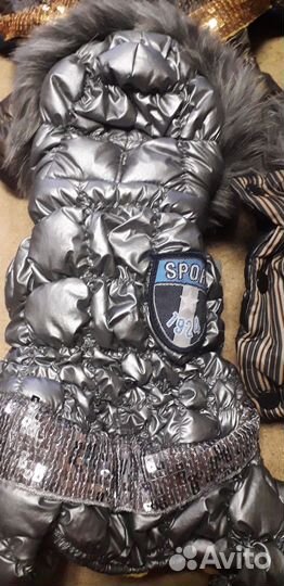 Зимний костюм для собак