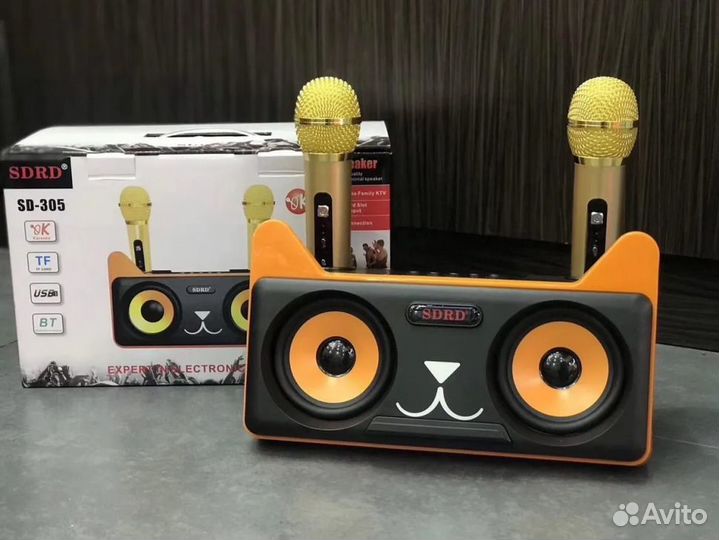 SD 305 bluetooth колонка-караоке с микрофонами