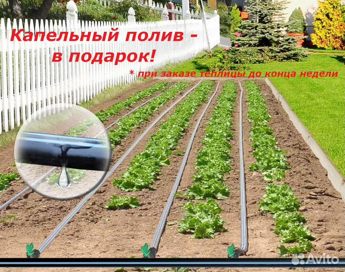 Теплица 3х4 (12 м2)