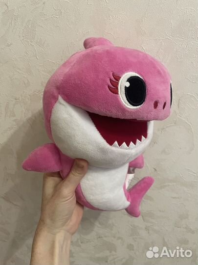 Акула baby shark