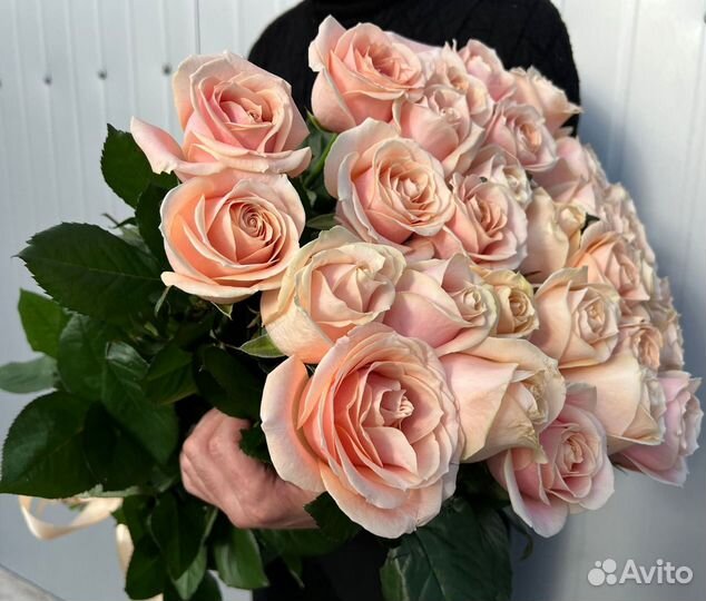 Розы с доставкой 25 шт