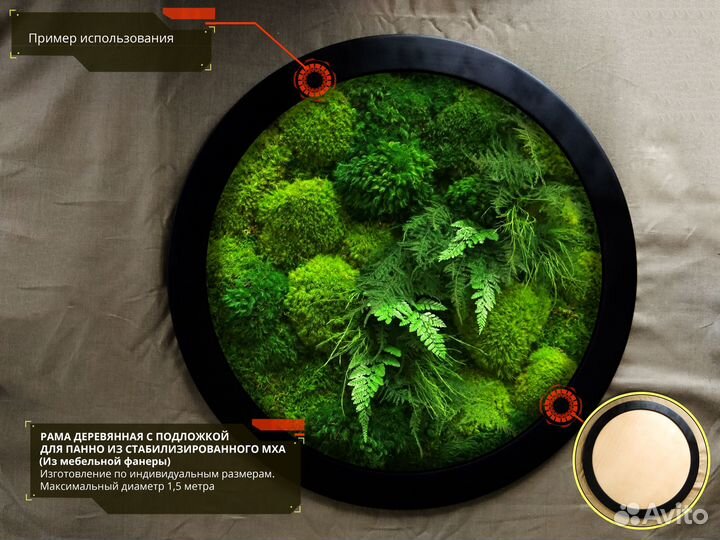 Рама с подложкой. Панно под стабилизированный мох