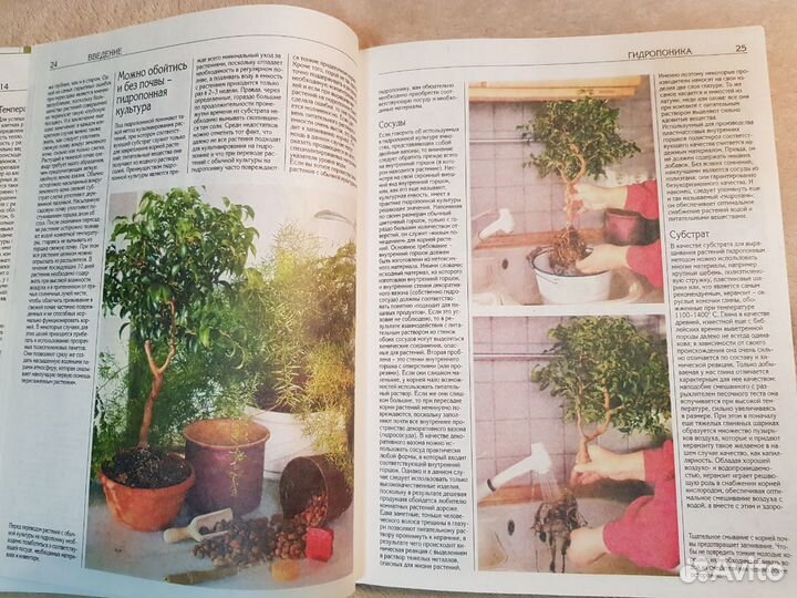 Энциклопедия комнатных растений