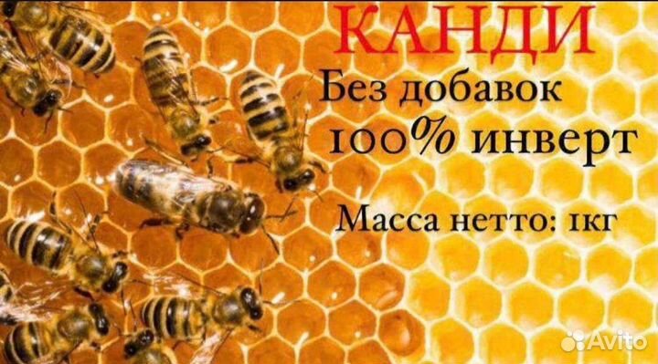 Канди для пчёл