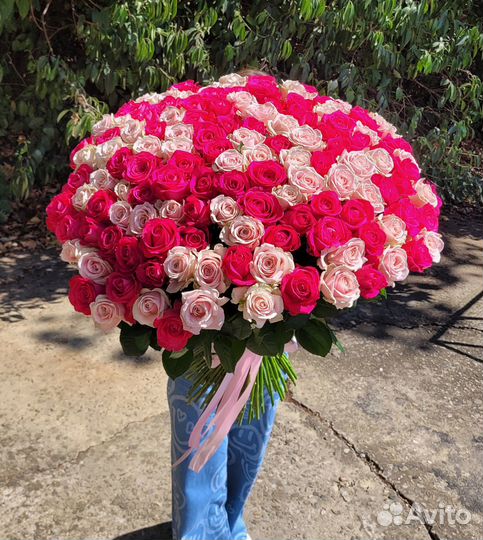 Розы Цветы Доставка 25 51 151 201 101 301 501