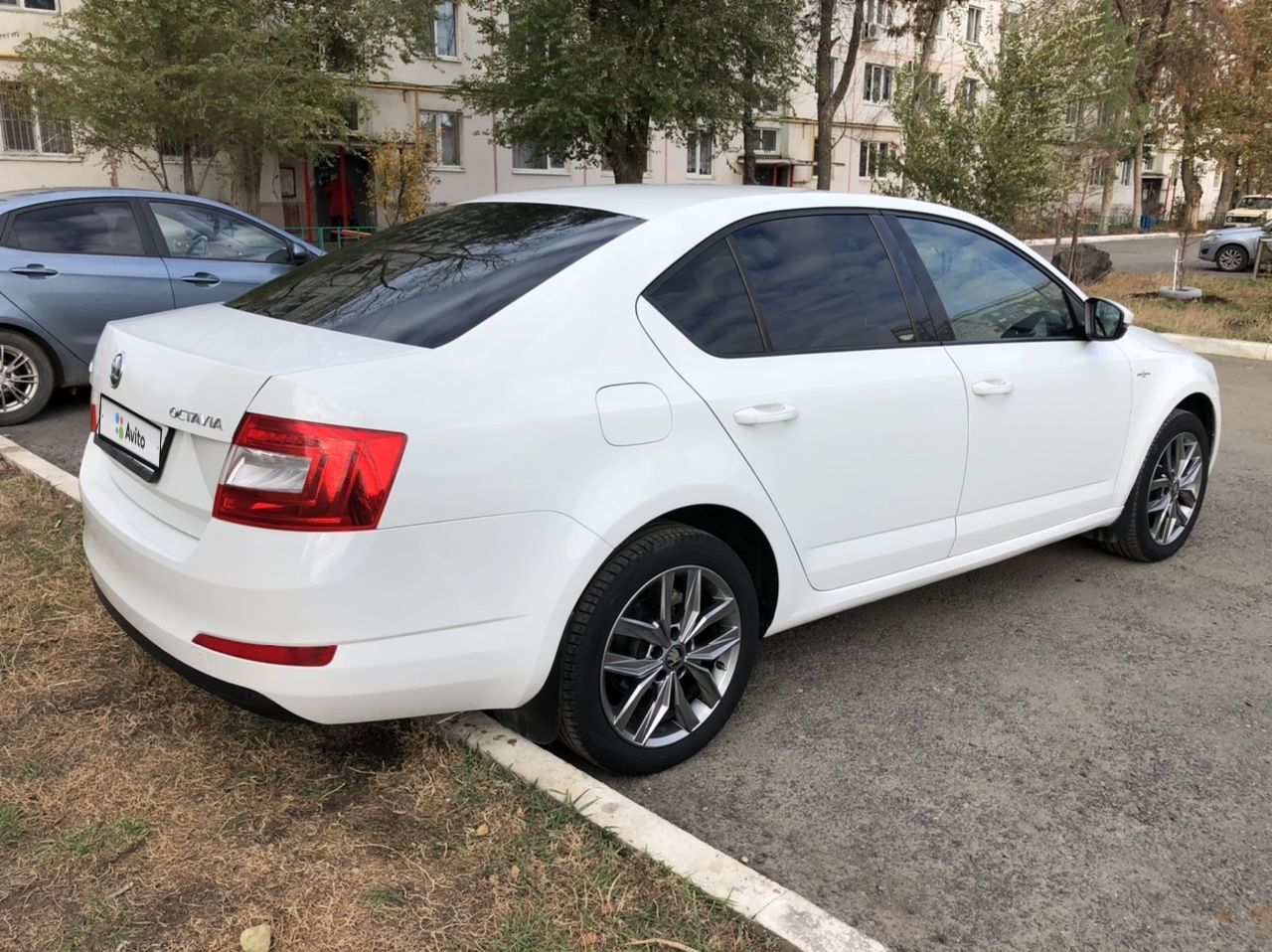 Skoda Octavia: фото владельца