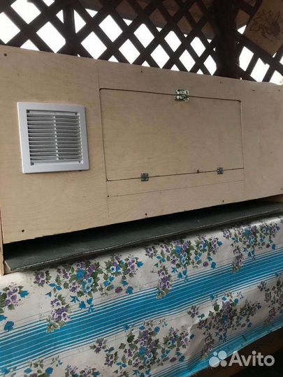 Брудер для цыплят