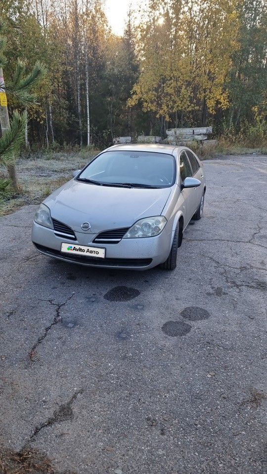 Nissan Primera: фото владельца