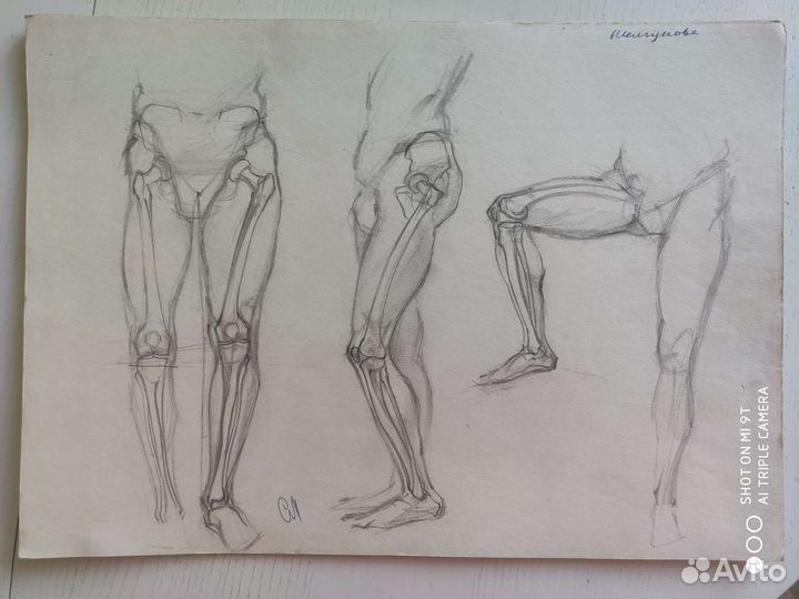 Анатомические рисунки, прошлый век, СССР