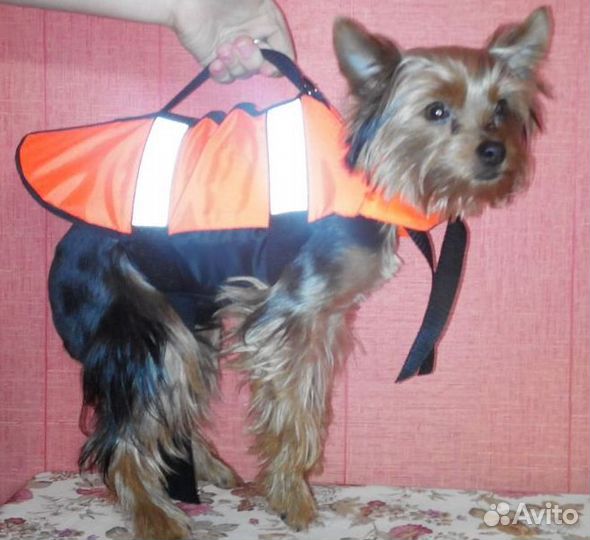 Спасательный жилет для собак