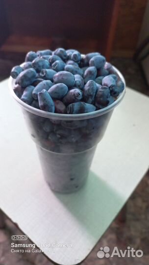 Ягоды жимолость