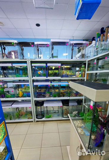 Аквариумы