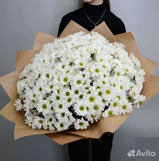 Хризантема Букет хризантем Доставка