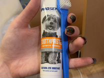 Зубная паста Prosense для собак + щетка
