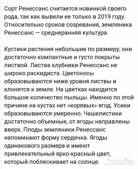 Ренесанс клубника(со вкусом земляники)