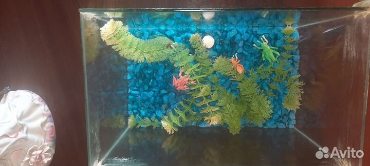Аквариум