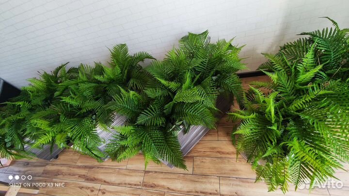 Искусственная осока зелень бордюры для зонирования