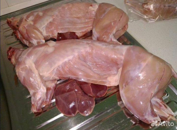 Мясо кролика