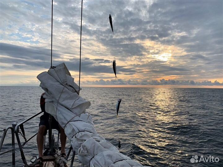 Экскурсия — Сочи — Морская рыбалка в Сочи круглый