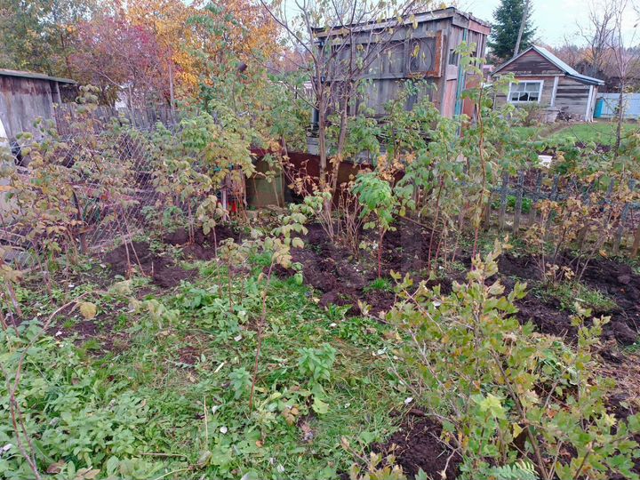 Участок 3 сот. (СНТ, ДНП)